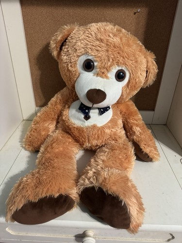 Teddy bear stuffed animal - bear,